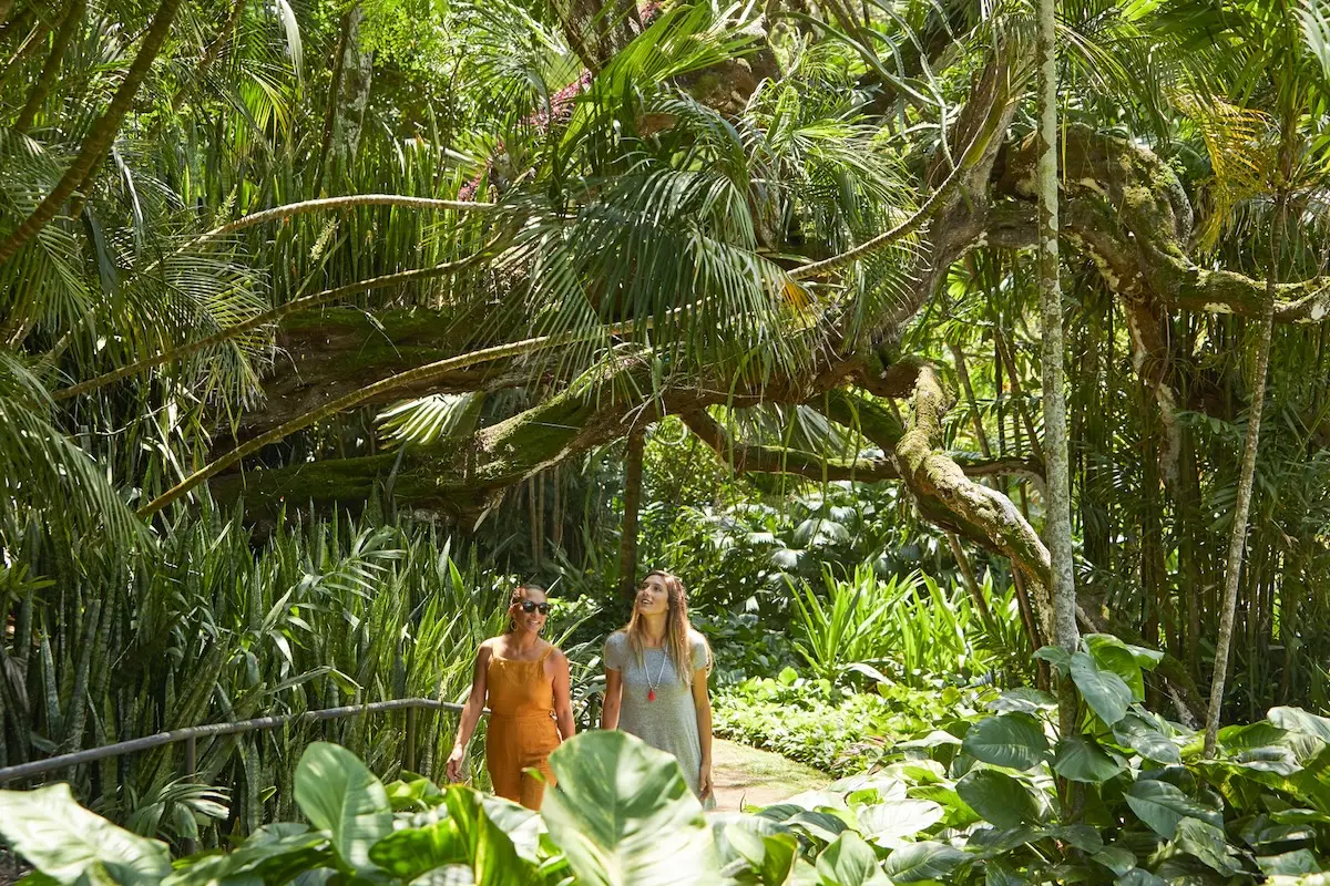 Two women are walking through a lush, dense tropical forest in kid-friendly Kauai. Large green leaves and various plants surround them, with tall trees and vines arching overhead. The sunlight peeks through the foliage, highlighting the vibrant greenery.
