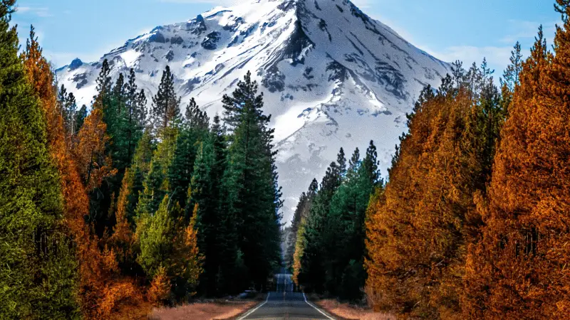 A long road stretches through a forest with the trees on either side displaying fall colors in shades of orange and yellow. In the background, a snow-capped mountain, one of The 7 Natural Wonders of California, stands majestically against a partly cloudy sky.
