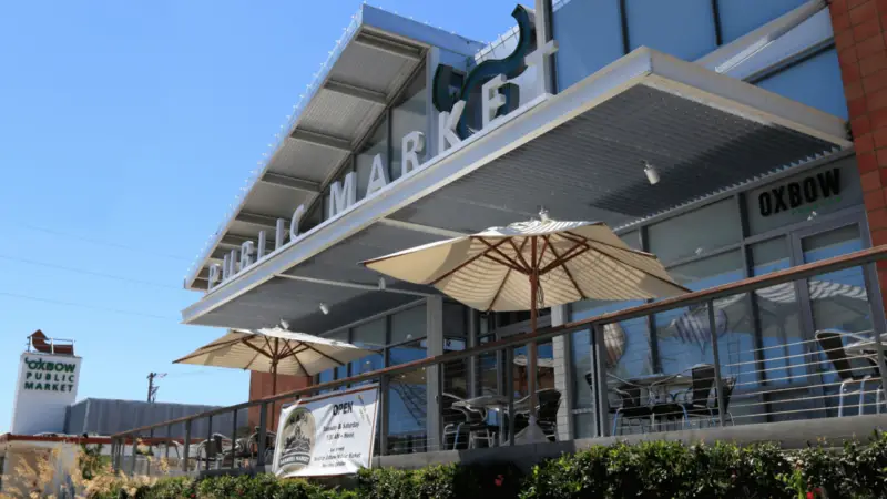 Dog-Friendly Tasting Rooms in Napa Valley