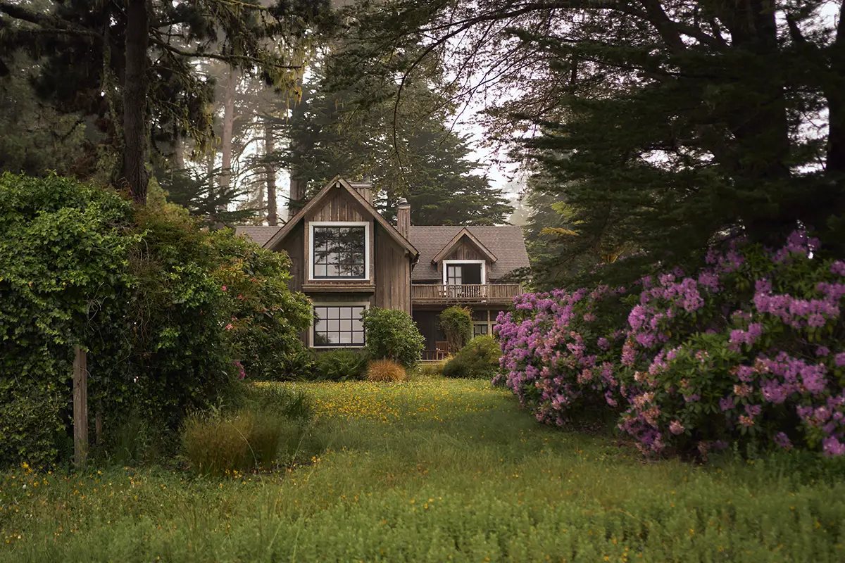 A cozy, eco-friendly cottage with wooden siding is nestled among tall trees and lush greenery. The front yard features blooming purple flowers on the right and overgrown bushes and grass. A misty atmosphere adds a serene, peaceful feel to the scene, reminiscent of California Eco hotels.