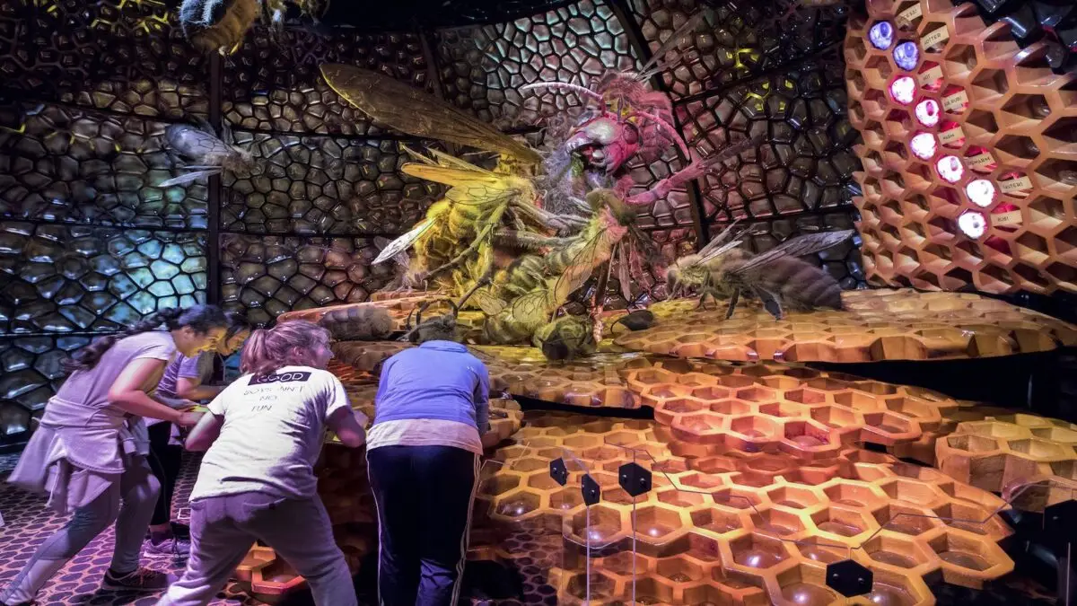 Visitors at the California Academy of Sciences interact with a detailed honeycomb exhibit featuring oversized bees. The background brims with hexagonal patterns, immersing guests in a captivating bee-themed environment.