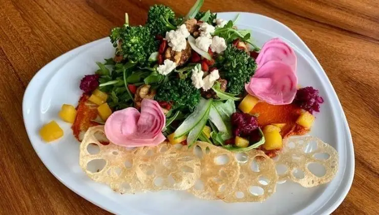 A colorful salad arranged on a triangular white plate, featuring fresh greens, broccoli, vibrant pink beet slices, diced yellow bell peppers, and white cheese or tofu crumbles. Surrounding the salad are decorative slices of crispy lotus root atop an orange base—truly the best lunch in North Shore.