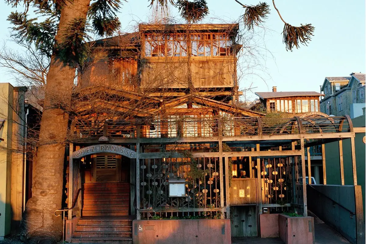 A rustic, two-story restaurant with a wooden exterior and tree branches integrated into the design, Chez Panisse stands out among Berkeley Michelin restaurants. The entrance is framed by a large tree and a sign reading "Chez Panisse," while warm sunlight illuminates the facade, highlighting a mix of greenery and wood.