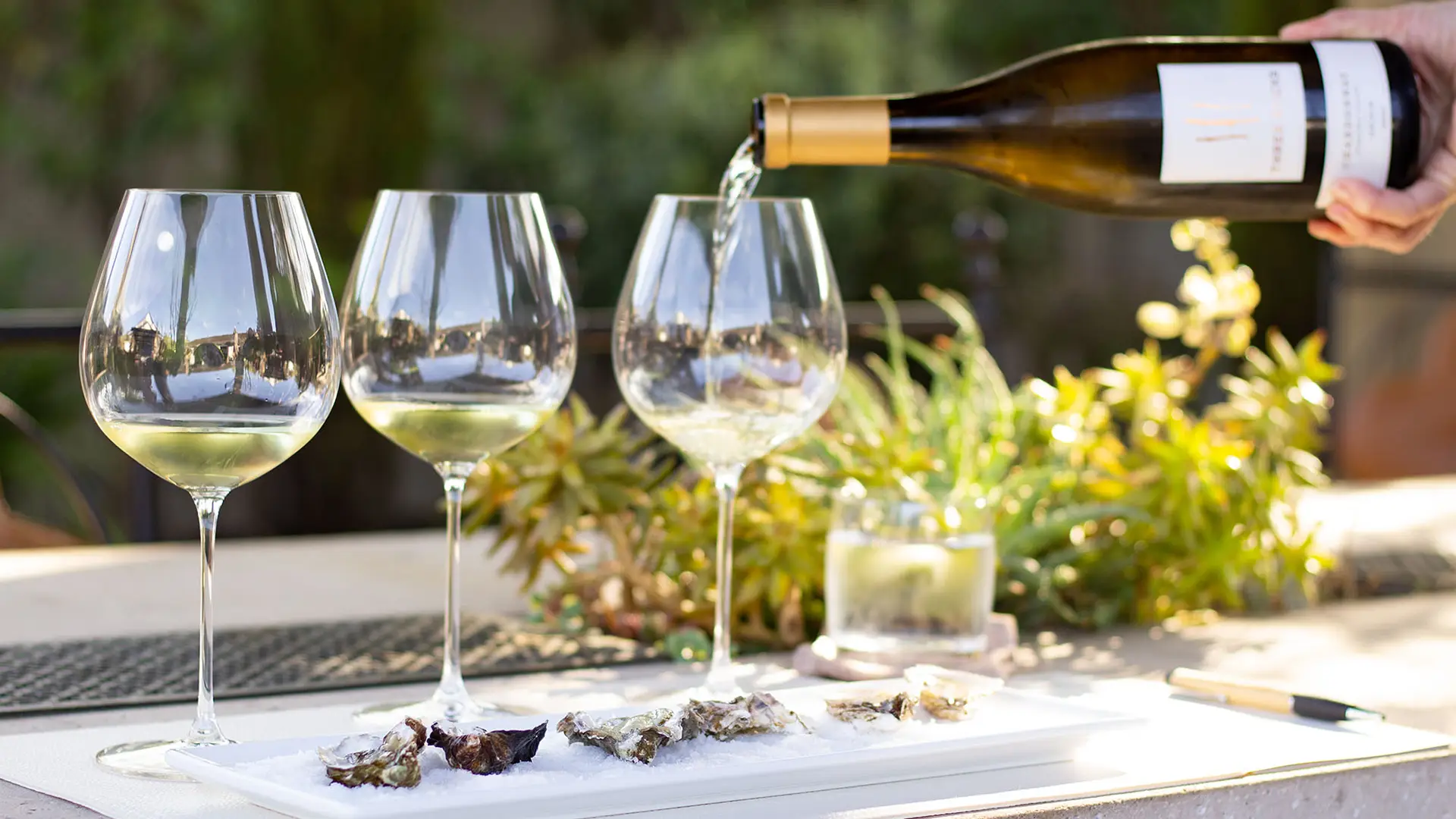 A bottle of white wine is being poured into one of three glasses on a table set for a Sonoma Tasting Rooms experience. Beside it, a plate of oysters with a small knife completes the scene. In the blurred background, green plants and an outdoor setting suggest a relaxed dining atmosphere.