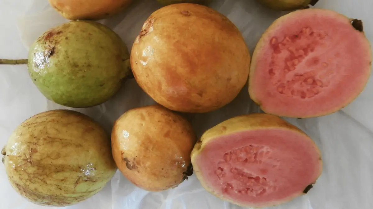 Several ripe guavas are laid out on a surface. Some are whole, showing their yellow and green exteriors, while one guava is cut open to reveal its pink flesh and numerous small seeds inside. The fruits appear fresh and juicy, perfect for creating some of the best desserts in Maui Wailea.