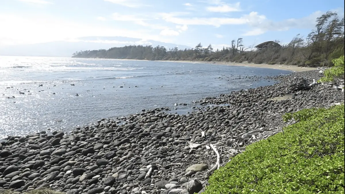 A rocky shoreline stretches along a calm, blue ocean under a bright sky with scattered clouds. In the background, a tree-lined area leads to distant hills. Green bushes are visible in the foreground on the right side of the image, reminiscent of Maui's lesser known beaches.