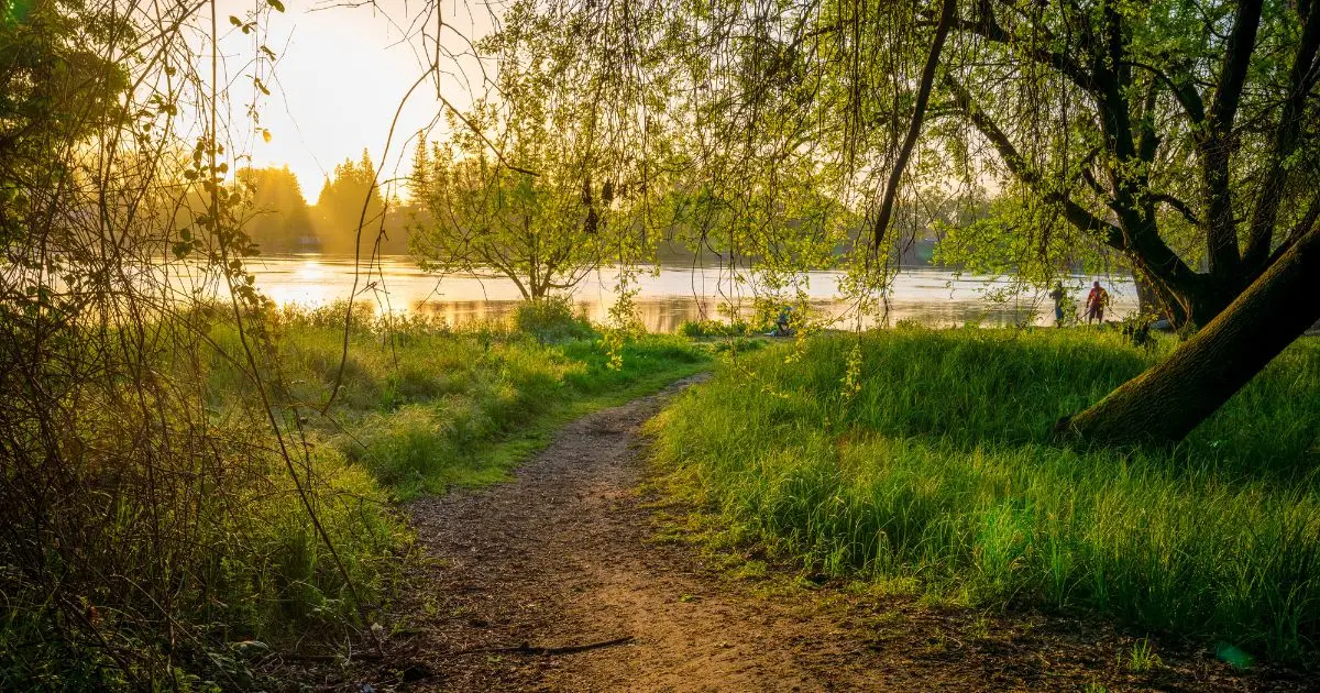 A serene, sunlit landscape shows a dirt path winding through lush green grass and trees. The path leads to a tranquil lake, with sunlight reflecting off the water. A couple is standing near the lake under the shade of trees, enjoying the peaceful view.