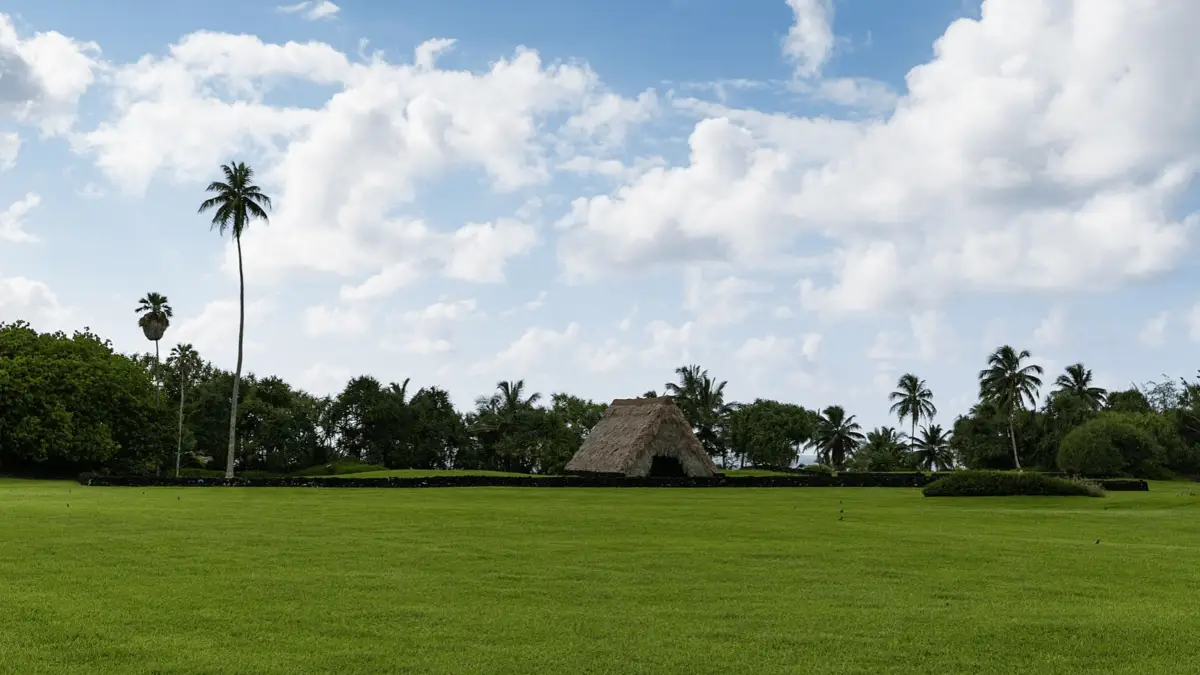 A wide, grassy field with scattered palm trees and a traditional thatched-roof hut in the center evokes the serene beauty of Kahanu Garden in Hana. The sky is mostly clear with some clouds, and lush green trees line the background.