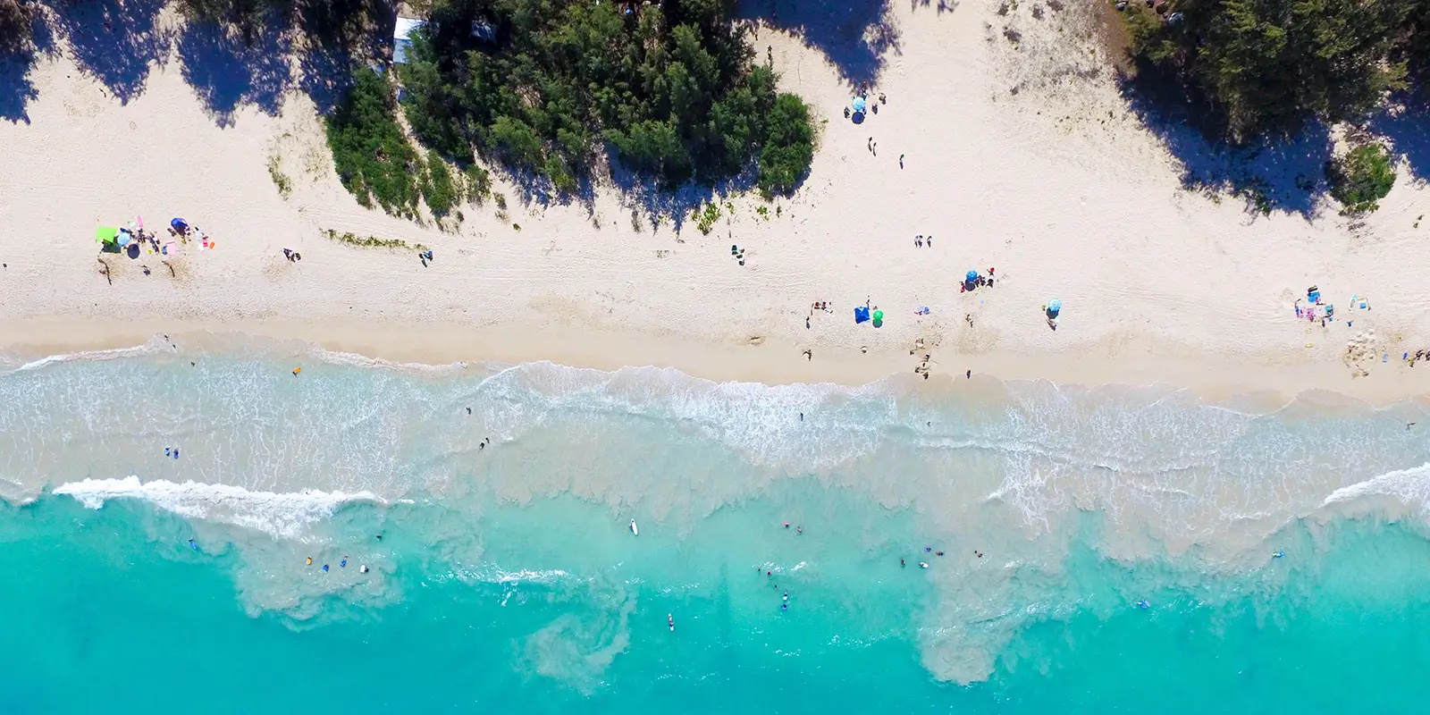 Aerial view of a sandy, family-friendly beach on Oahu with turquoise waters. People are scattered along the shore and swimming in the water. Lush green trees border the beach on the top left, providing shaded areas. Waves gently crash onto the shore.