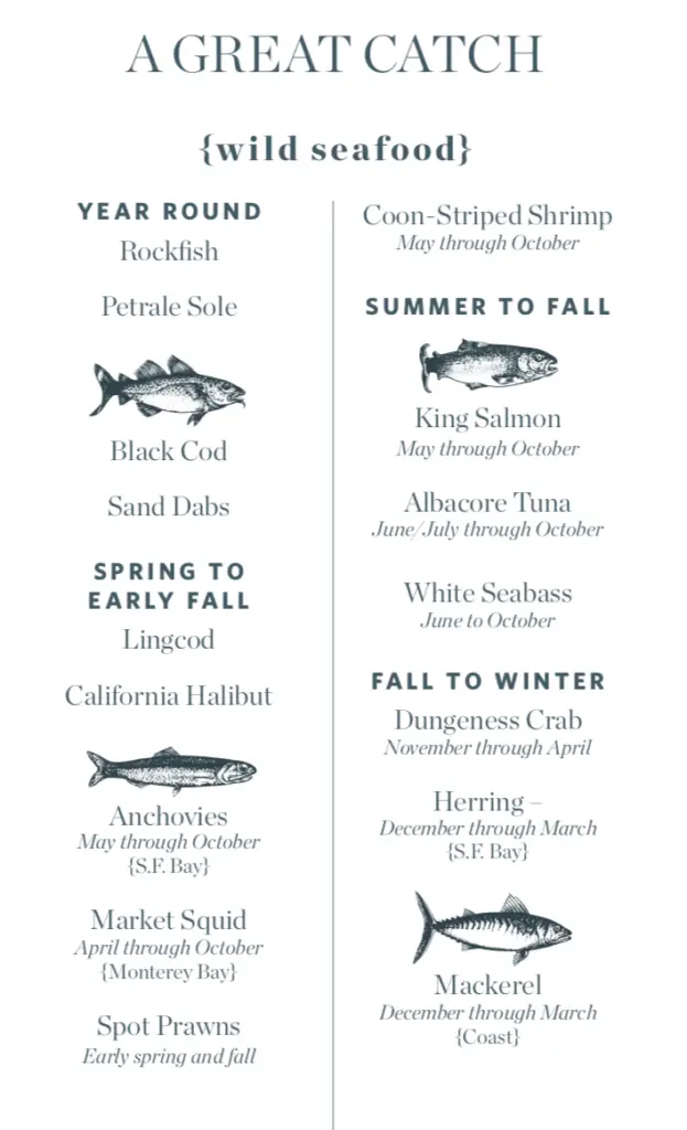 Infographic titled "A Great Catch" lists wild seafood availability seasons. Year-round: Rockfish, Petrale Sole, Black Cod, Sand Dabs. Spring to early fall: Lingcod, California Halibut. May to October: Anchovies, Market Squid, Spot Prawns. Summer to fall: Coho/Sockeye Salmon, King Salmon, Albacore Tuna, White Seabass. Fall to winter: Dungeness Crab, Herring, Mackerel.