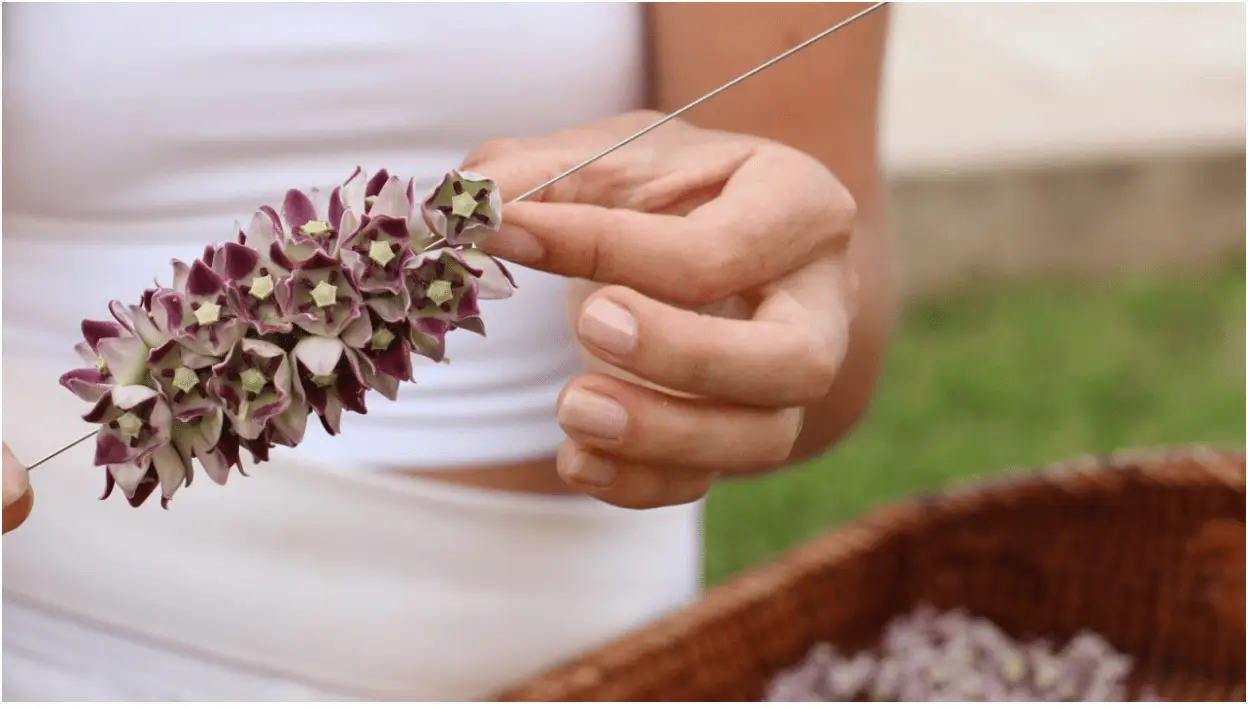 A person holds an intricately crafted lei made of purple and white flowers, threading the blooms onto a silver wire. The background shows a blurred wicker basket and a grassy area, capturing the serene environment where they make the lei. The individual is dressed in a white sleeveless top.