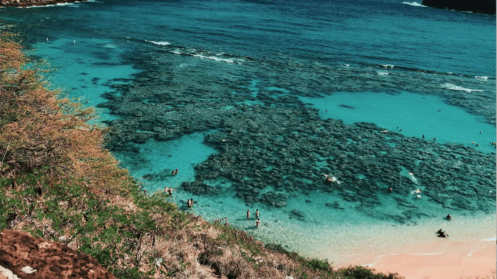 A scenic view of a coastal area with clear turquoise waters and a coral reef. People are swimming, snorkeling, and scuba diving in the shallow parts of the water near the sandy beach. Lush greenery surrounds the beach, and the water shows varying shades of blue, reminiscent of beautiful spots like Oahu.