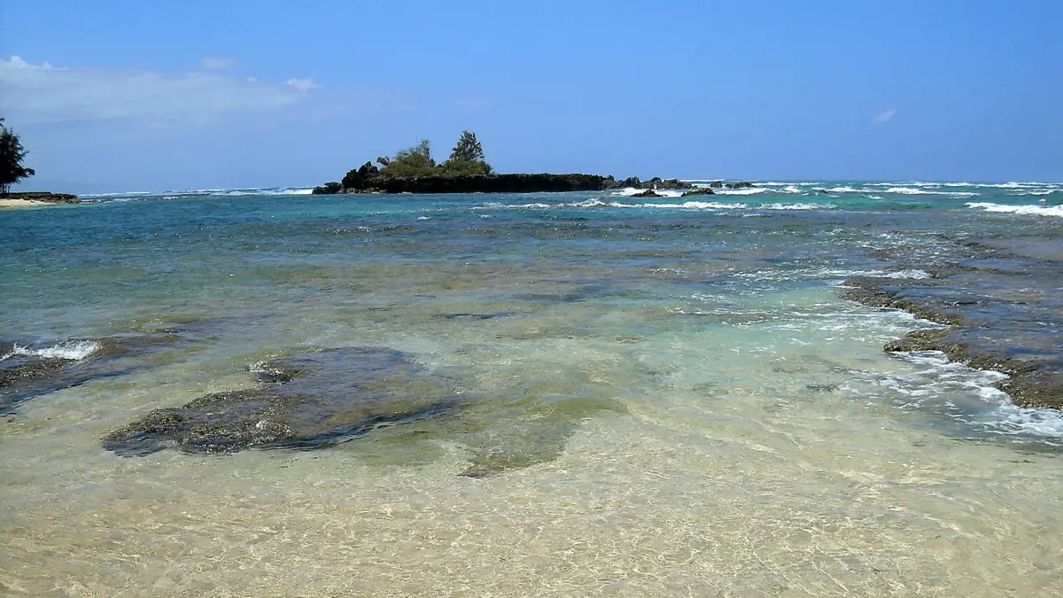 A tranquil shoreline featuring clear, shallow waters gently washing over a sandy beach. There are rocky patches visible in the water, perfect for scuba diving enthusiasts. In the distance, a small tree-covered island under a clear blue sky invites adventurers to explore paradise like Oahu.
