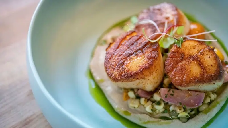 A close-up of a dish featuring two seared scallops resting on a creamy puree, garnished with microgreens and surrounded by a mix of vegetables, possibly corn and diced onions, in a light green sauce. Presented in a light blue bowl, this is one of the best gluten-free options in Wailea.