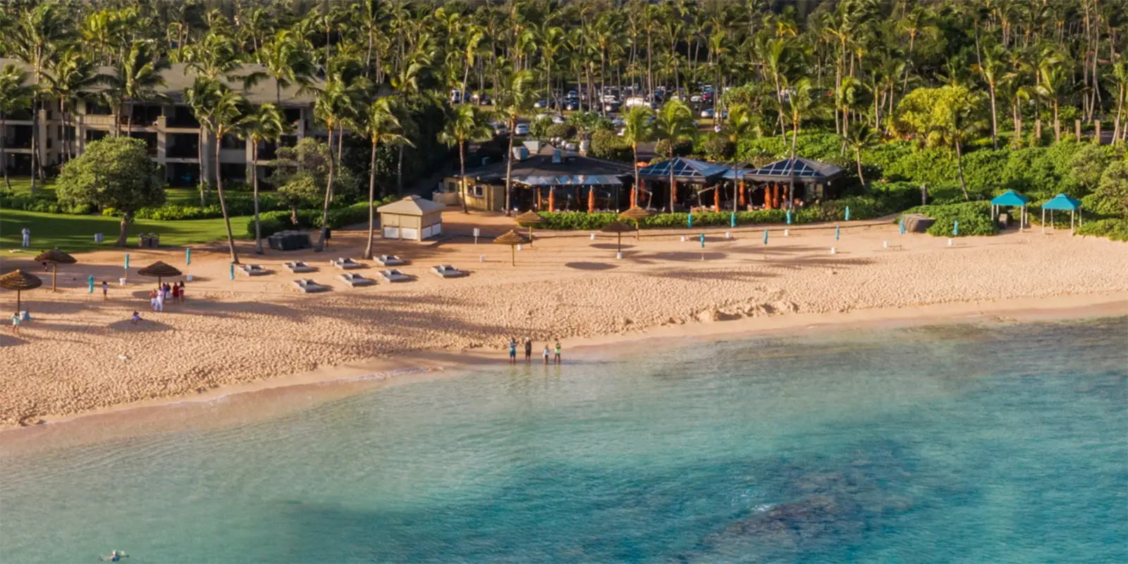 A breathtaking view of a tropical beach with clear blue waters greets visitors to this family-friendly beach on Oahu. The sandy shoreline is equipped with lounge chairs and umbrellas, while a few people enjoy the surf. Behind the beach lies a lush, green area adorned with palm trees and nestled buildings.