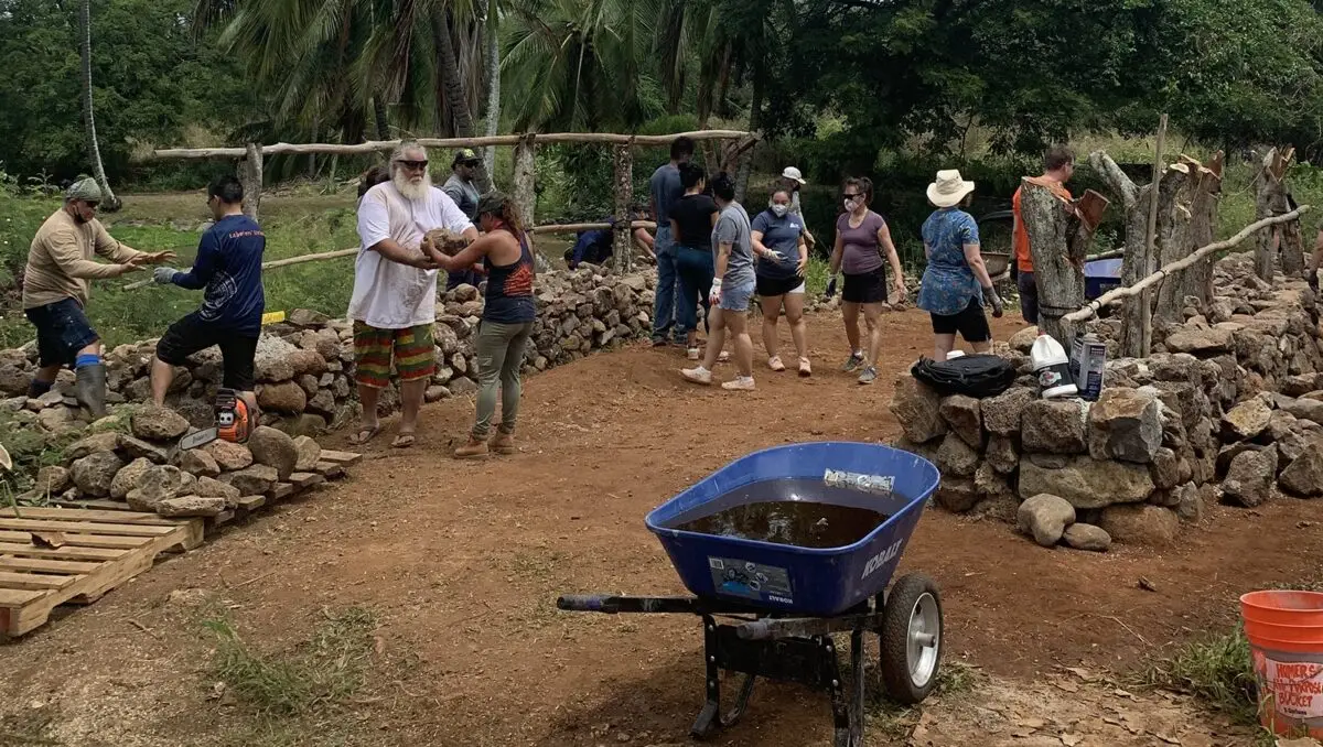 A group of people are working outdoors on a construction project, possibly building a stone wall. They are arranging rocks and interacting with each other. A blue wheelbarrow with water and various tools is in the foreground, evoking the question: Why Waikiki? Trees and greenery are in the background.