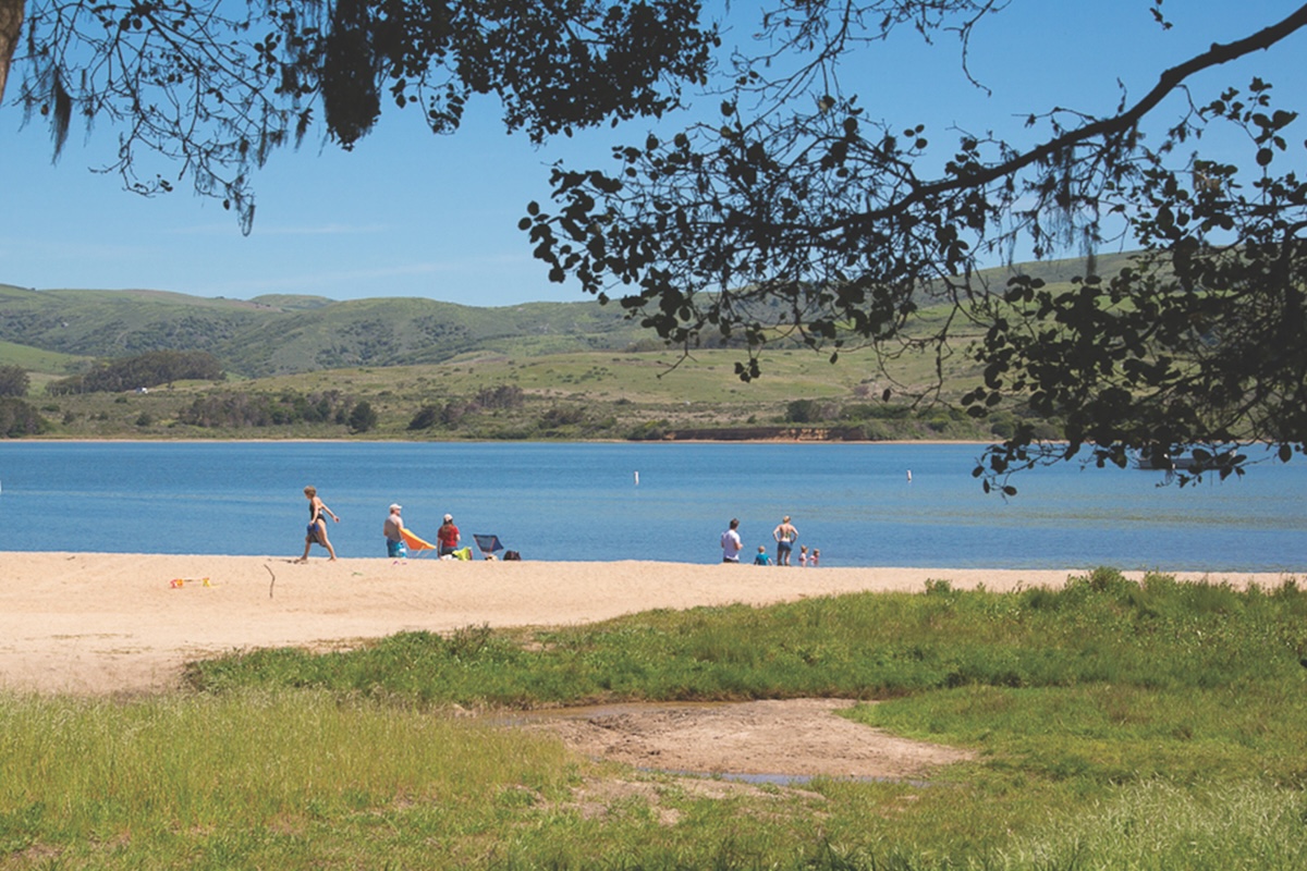 A small group of people relaxes on a sandy beach by a calm, blue lake in Marin County, surrounded by green hills. Some are sitting on beach chairs while others stand or walk nearby. Leafy tree branches frame the top of the image, and there is grass in the foreground, embodying a perfect Summer in Marin moment.