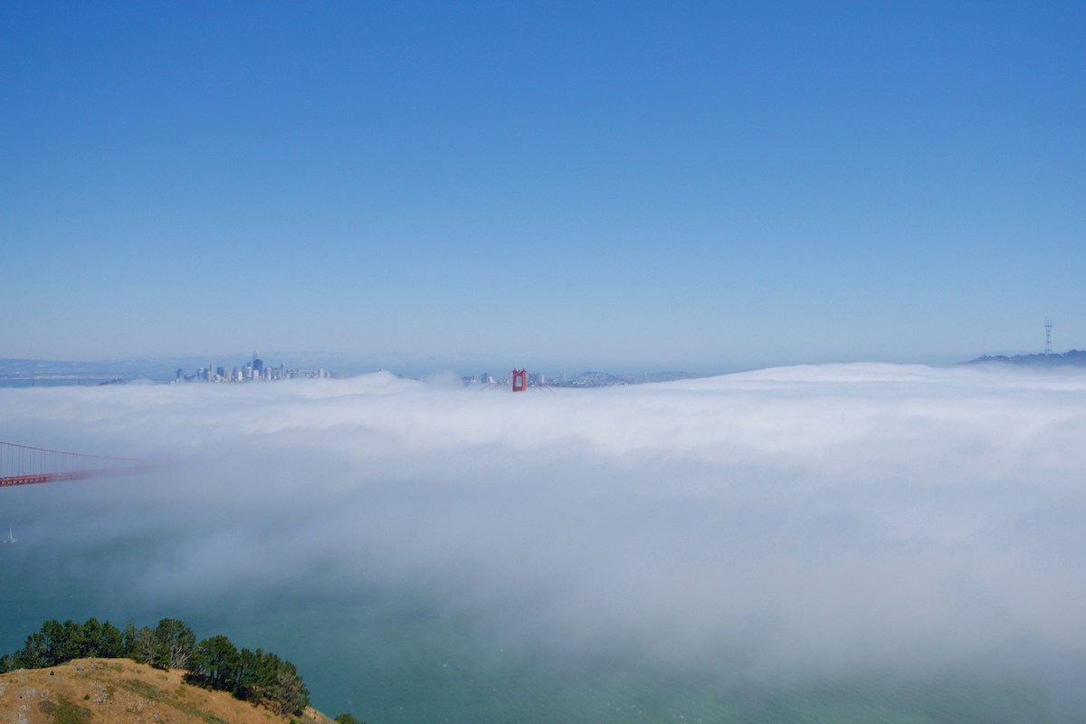 A scenic view of San Francisco partially obscured by dense fog. The fog covers much of the landscape, with the tops of the Golden Gate Bridge just visible above it. The clear blue sky contrasts with the white fog, and greenery can be seen in the foreground, a perfect snapshot for any San Francisco concierge to recommend.