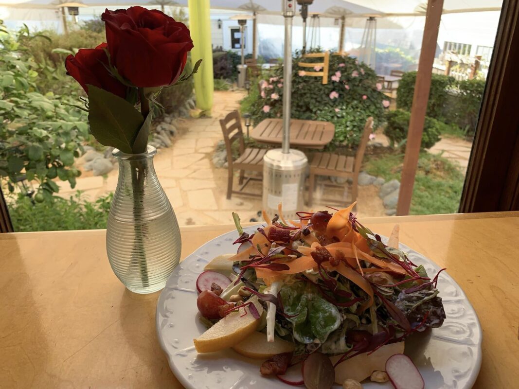 A colorful salad with various vegetables is served on a white plate on a wooden table, next to a vase with a single red rose. The setting includes an outdoor seating area with tables, chairs, and greenery, viewed through a window—truly the best dinner in Mendocino.