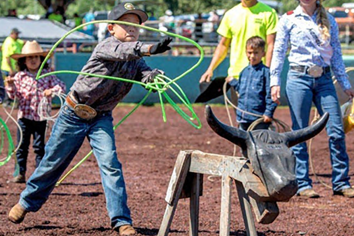 At the Hillo Annual Events, a young boy dressed in western attire is in mid-throw with a lasso aimed at a bull-shaped practice dummy. Nearby, other children, also dressed in western clothing, hold lassos and look on as adults stand in the background. The scene is outdoors on a sunny day.