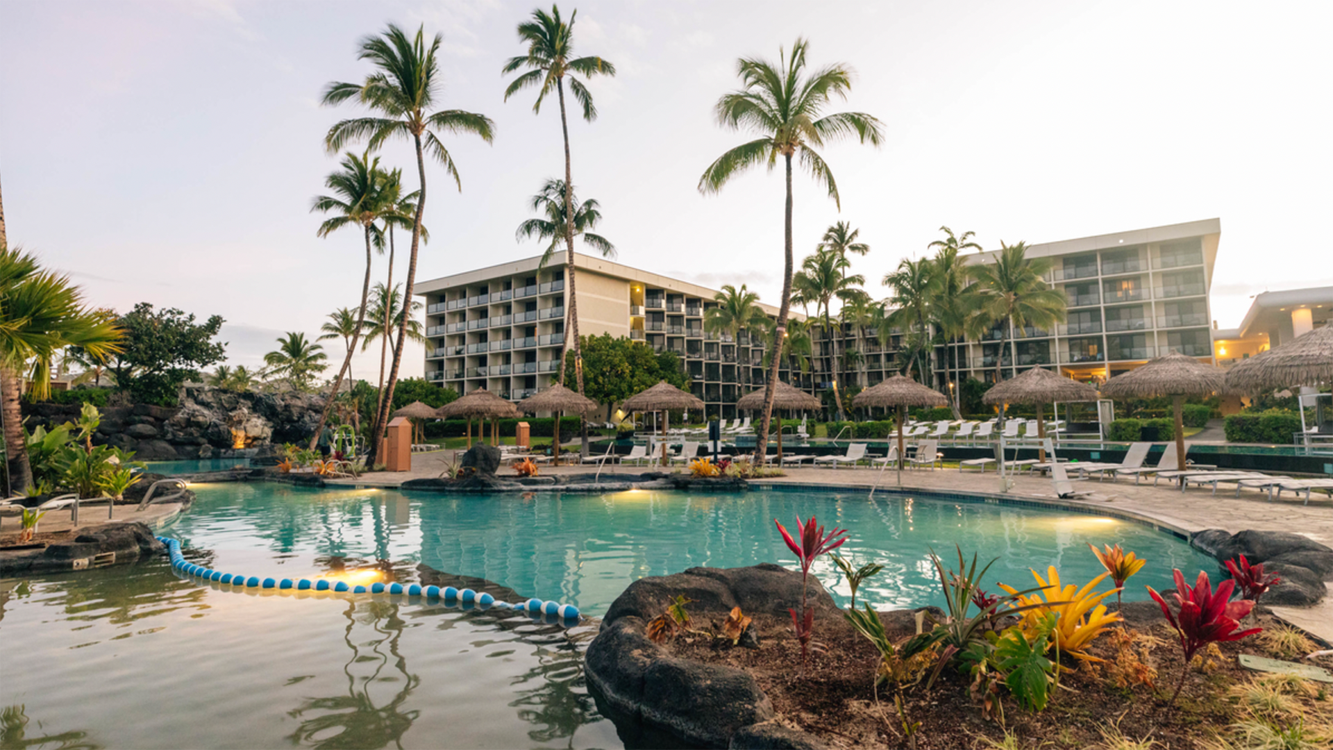 A tropical resort features a large, inviting pool surrounded by lounge chairs and palapas with thatched roofs. Colorful plants and tall palm trees enhance the serene atmosphere. In the background, several multi-story hotel buildings are visible under the clear sky.