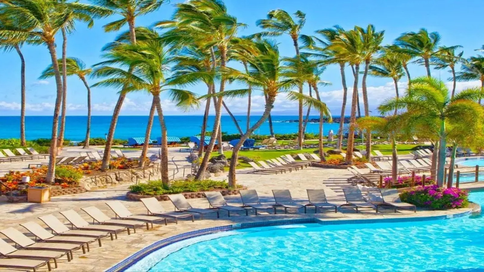 A tropical resort perfect for a family getaway, with numerous lounge chairs around a large, clean, turquoise swimming pool. Tall palm trees are scattered throughout the area, and the scene overlooks a clear, blue Hawaiian ocean under a bright, sunny sky. Vibrant flowers add pops of color.