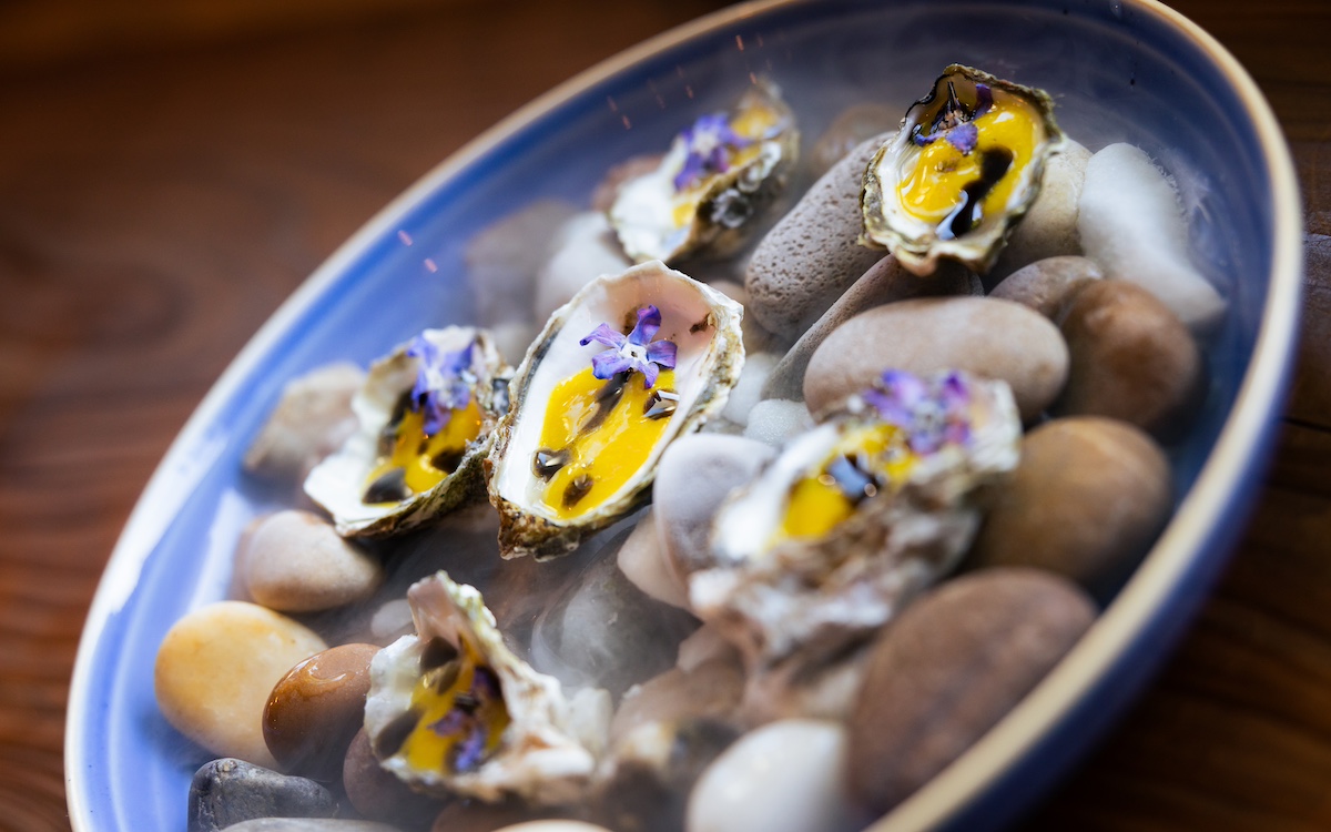 A blue-rimmed bowl filled with stones holds opened oyster shells. Each oyster is topped with a vibrant yellow sauce and small purple edible flowers, creating an artistic and colorful presentation. The focus is on the rich texture and contrast of ingredients.