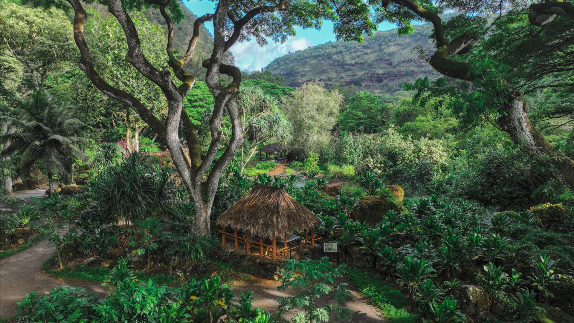 A lush tropical landscape featuring a thatched-roof hut nestled amid dense vegetation and tall trees. Surrounding pathways weave through the greenery, leading toward forest-covered hills in the background. The sky above is partly cloudy with patches of blue.