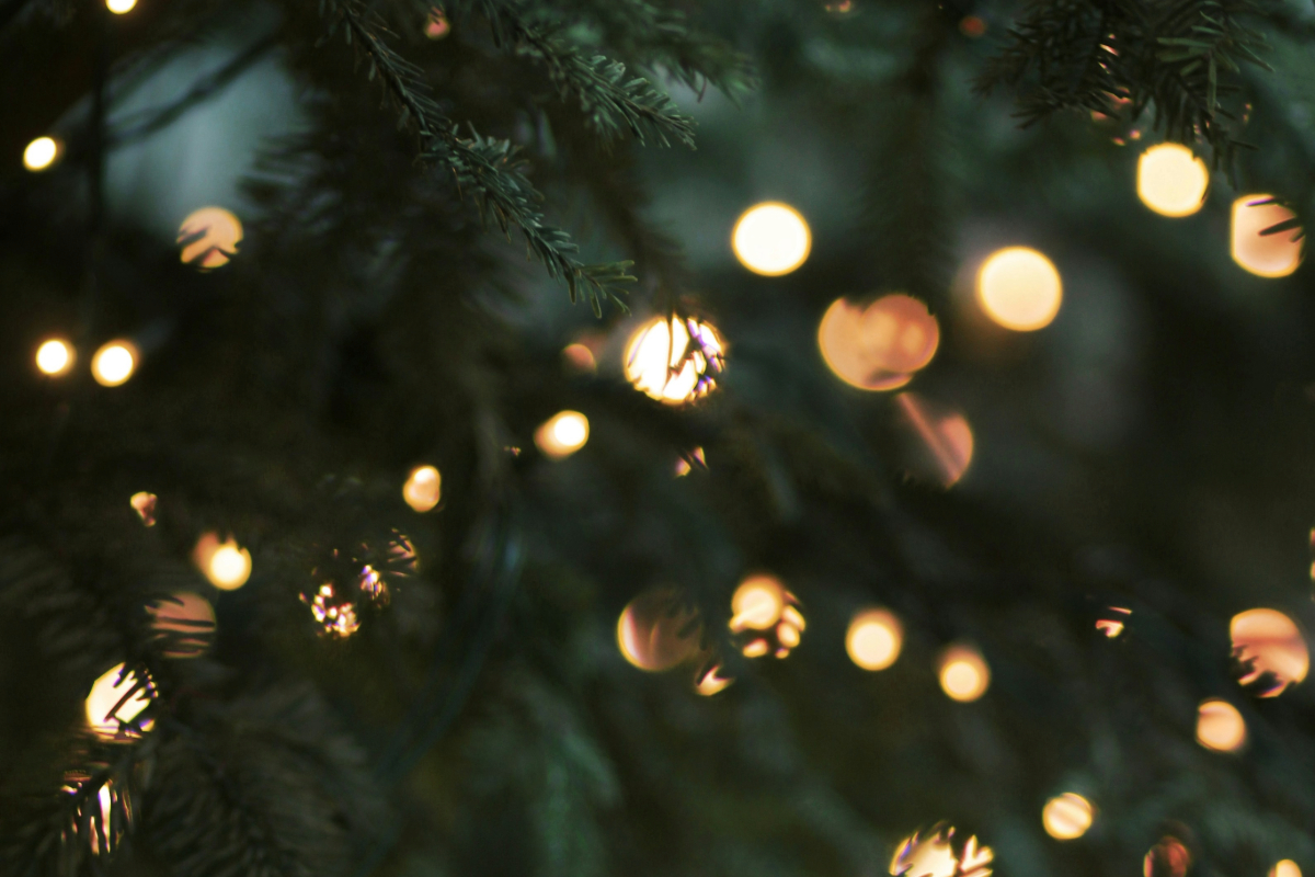 Pacific Grove Tree Lighting Ceremony