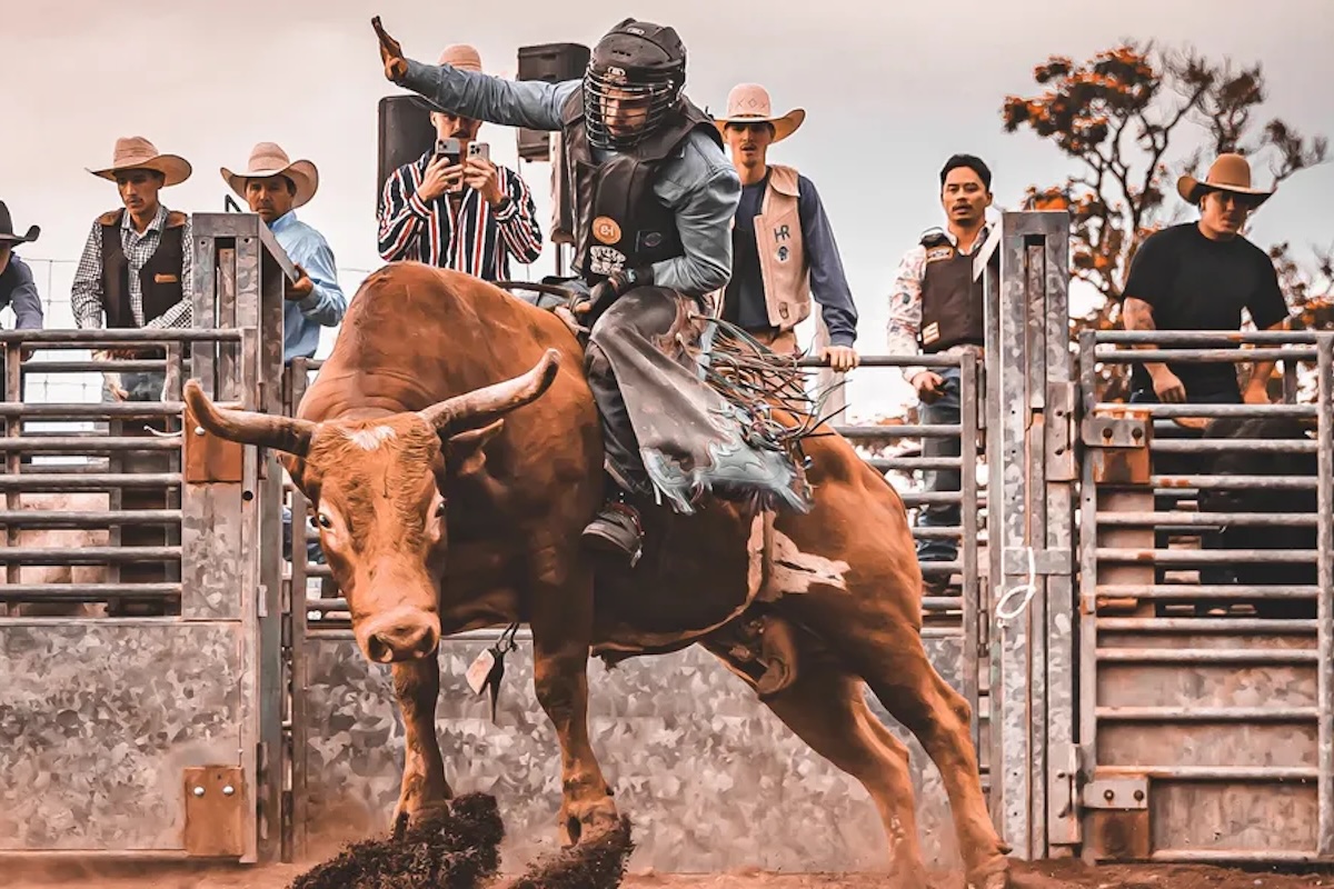 A man rides a bull in a rodeo pen as people wearing cowboy hats cheer in the background.