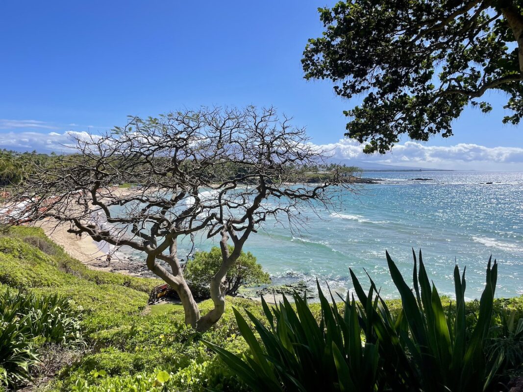 Mauna Kea Beach