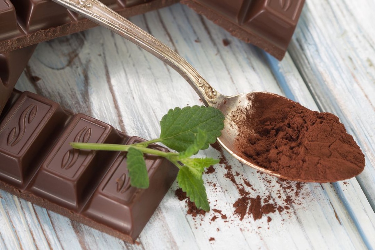 A spoonful of cocoa powder next to some bars of chocolate and a sprig of mint.