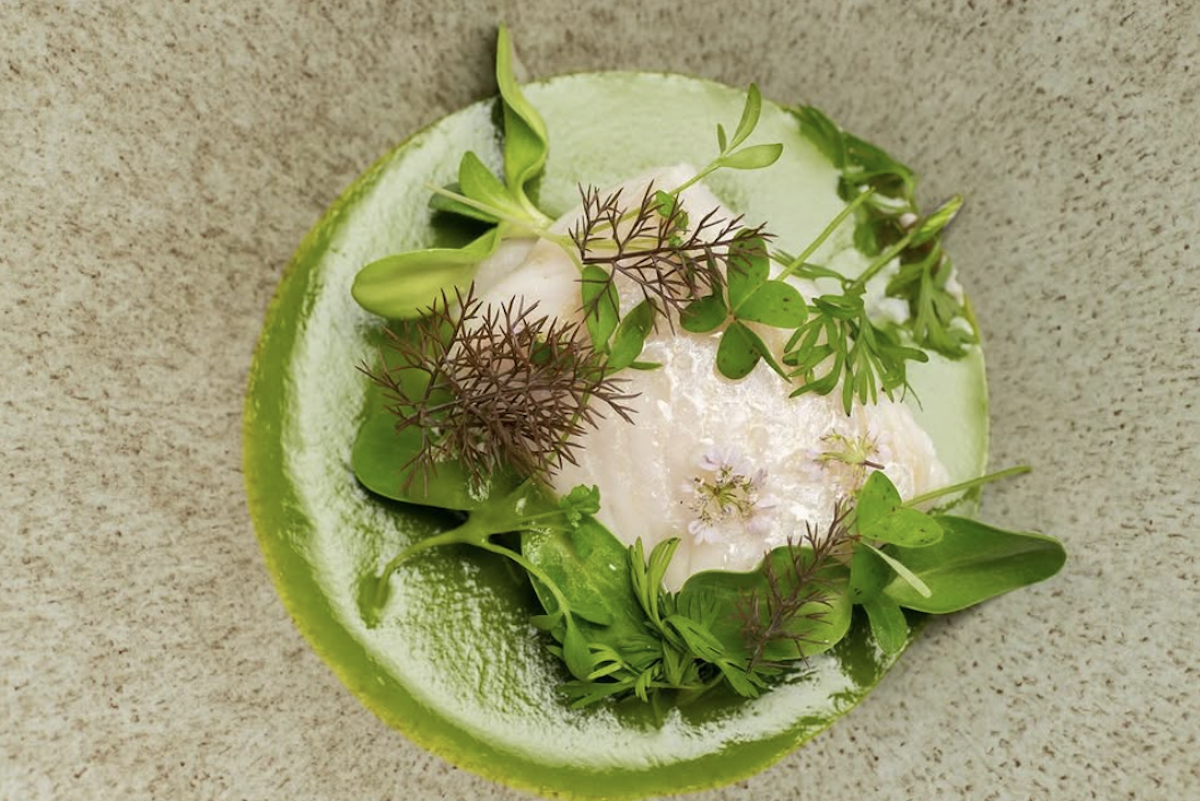 An overhead shot of a plate with steamed petrale sole, fermented black bean, anise & pea leaves.