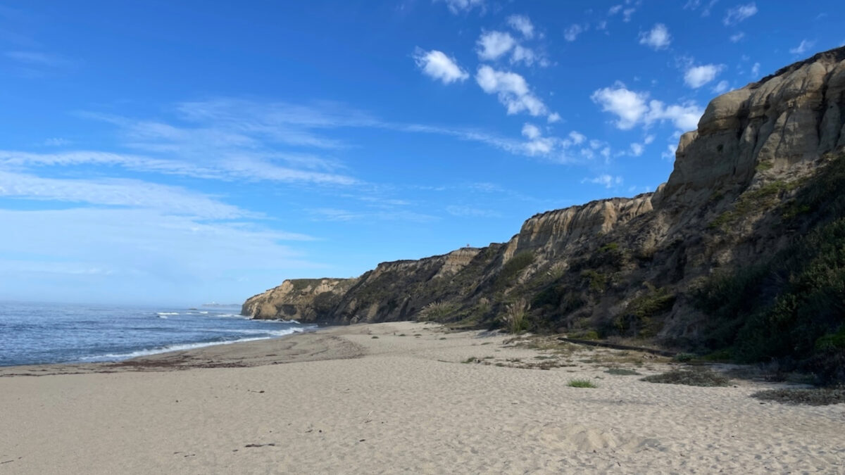 Cowell Ranch Beach