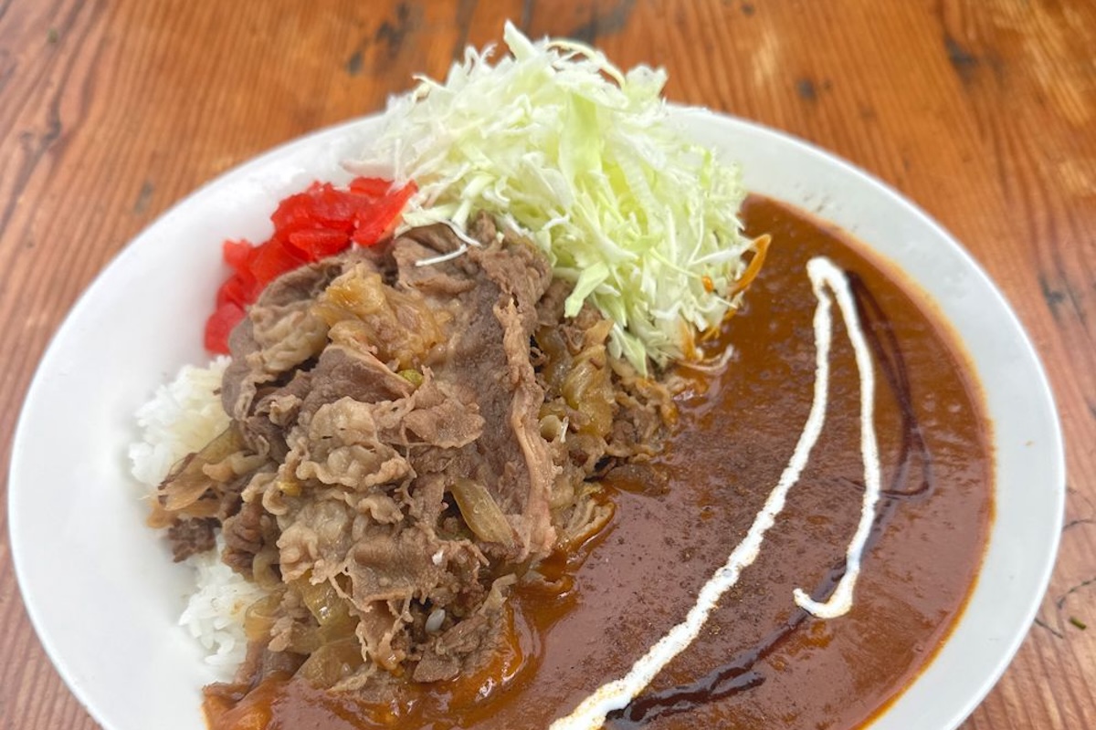 A plate of Japanese curry, stewed beef, rice and slaw.