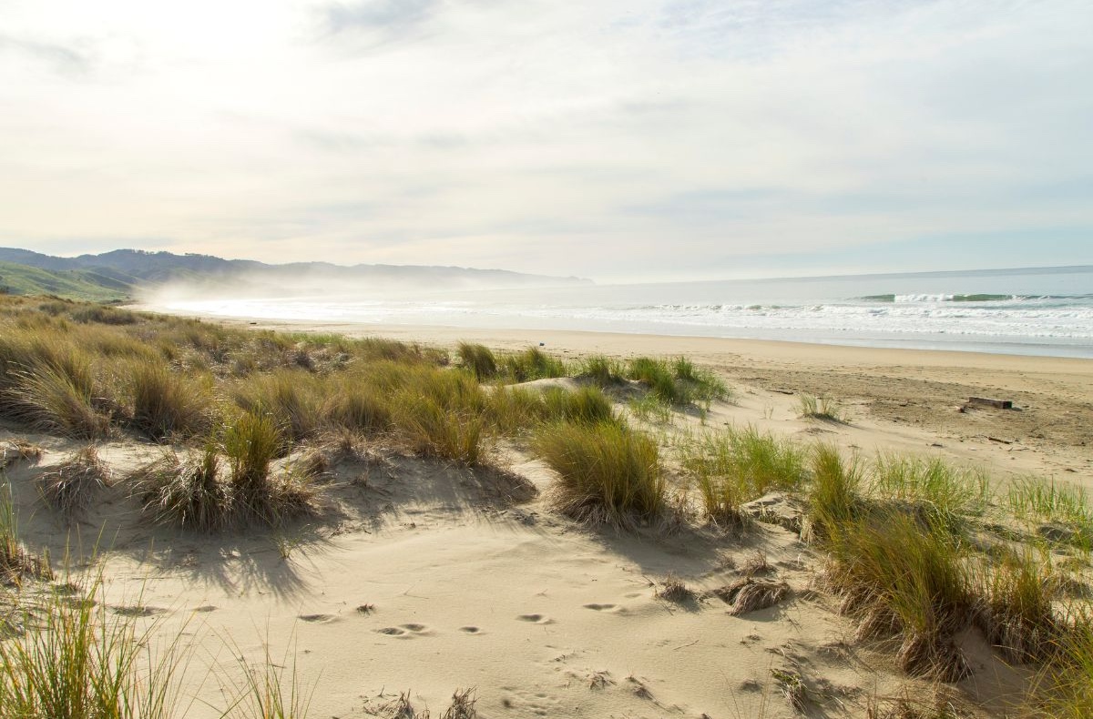Limantour Beach