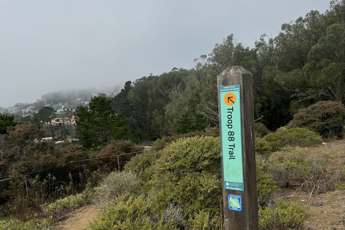 A wooden and teal sign post on a hike with a view of the foggy SF skyline.