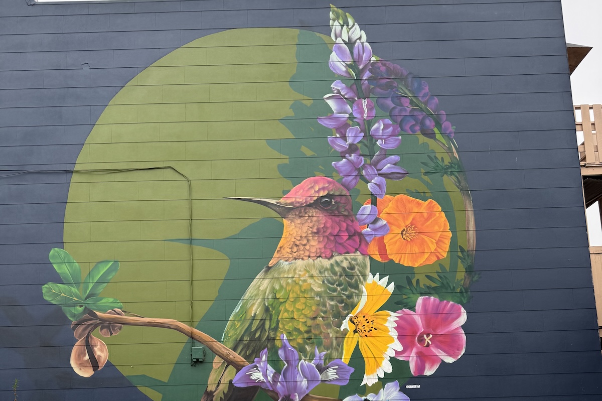 A mural with a green circle and a picture of a hummingbird sitting in some flowers.
