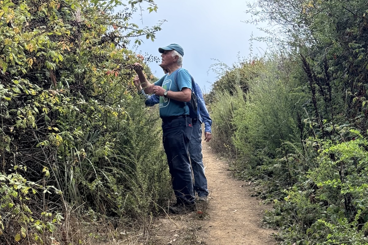 Bob knows where all the blackberries grow.
