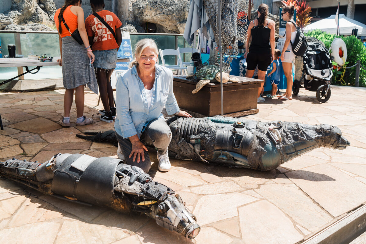 Jodi Endicott midway monk seal art exhibtion