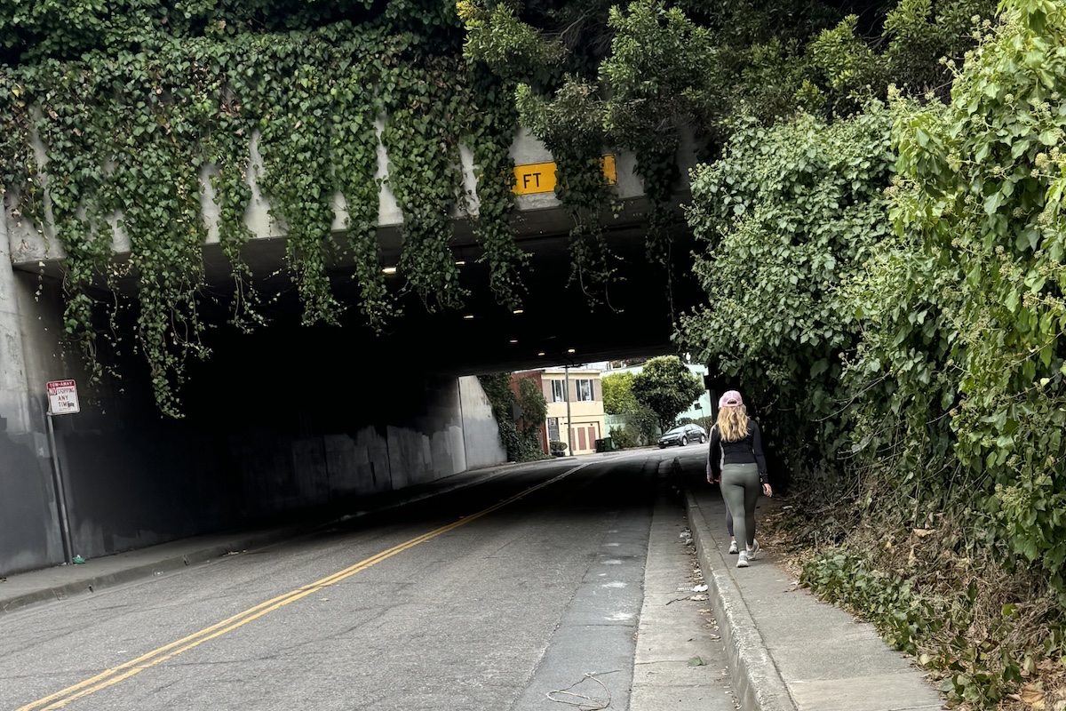 Truly an urban hike.