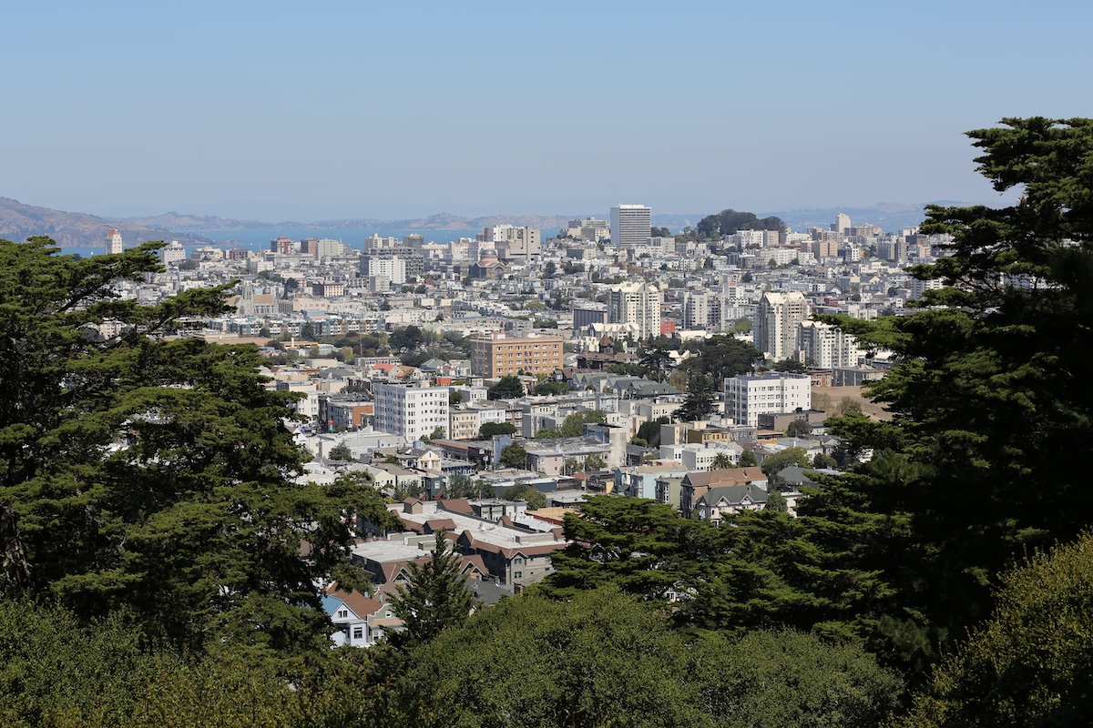 A view of San Francisco's cityscape through some trees.