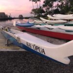 hawaii canoes on the beach