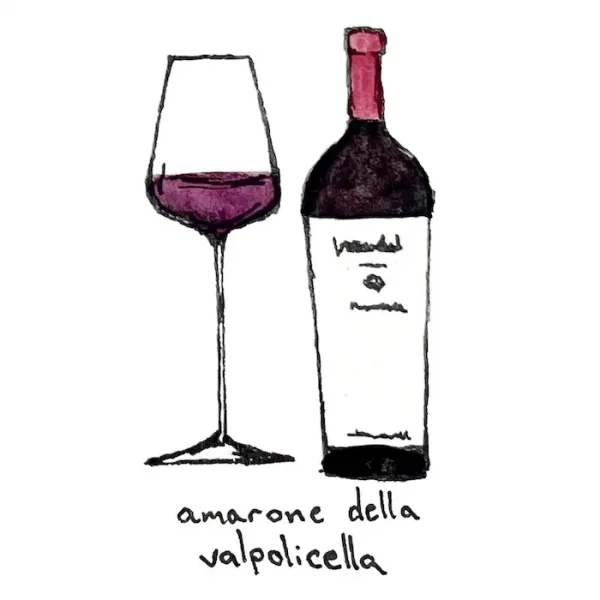 A minimalistic illustration of a bottle of Amarone della Valpolicella wine next to a filled wine glass. The bottle has a red cap and a white label with unreadable text. The drawing is labeled "amarone della valpolicella" at the bottom.