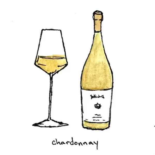 A hand-drawn illustration of a bottle of Chardonnay wine and a filled wine glass. The bottle is tall with a beige label, and the glass contains a light yellow liquid. The word "chardonnay" is written below the image in lowercase letters.