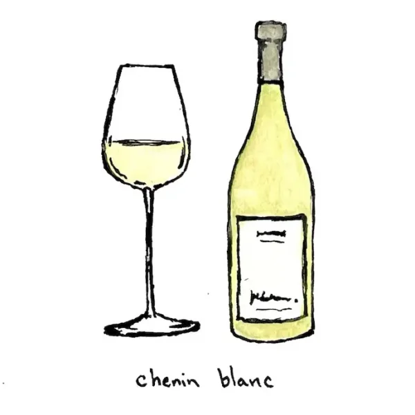 A hand-drawn illustration of a wine bottle and a filled wine glass side by side. The bottle is labeled with text, indicating it contains Chenin Blanc wine. "Chenin Blanc" is written beneath the image in lowercase letters.