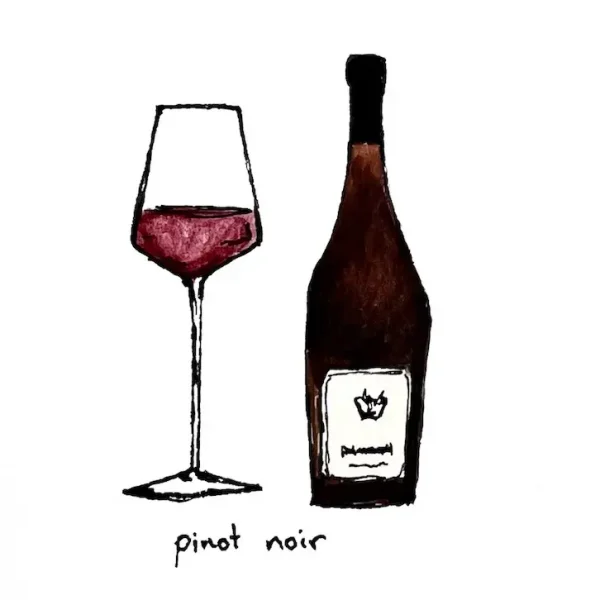 A hand-drawn illustration of a full wine glass and a wine bottle, with a red liquid symbolizing Pinot Noir. The words "pinot noir" are written in lowercase below the glass and the bottle. The drawing is simple and minimalist with clear, bold lines.